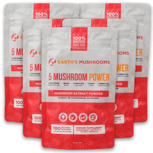 5 Mushroom POWER Extracts Blend