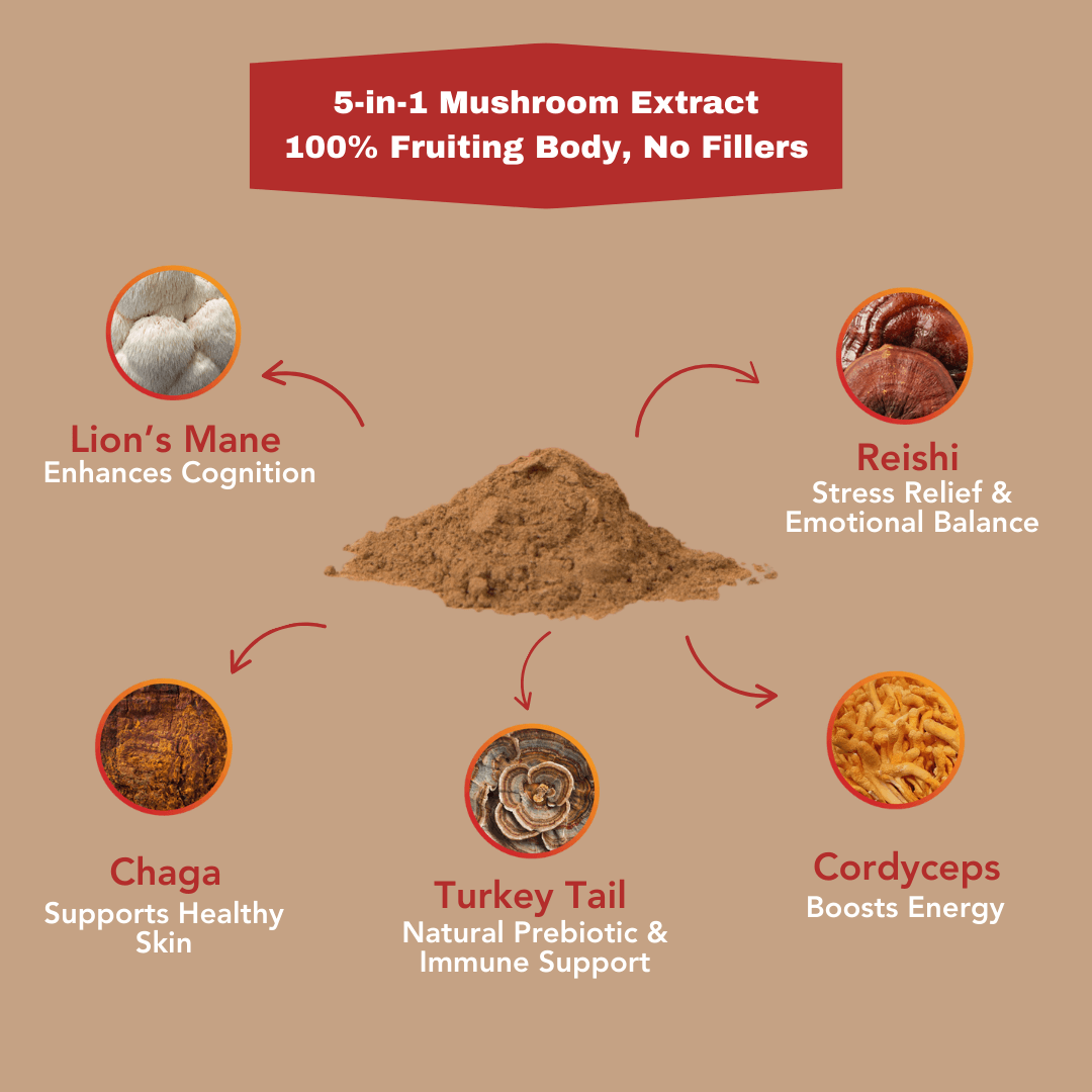 5 Mushroom POWER Extracts Blend