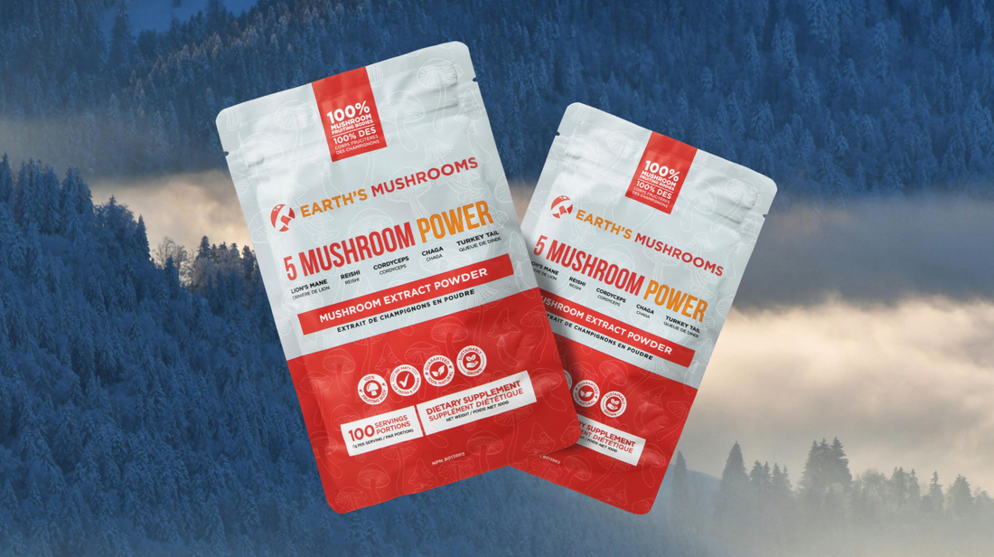 Beat the January Blues: Mushroom Power for Mood & Energy