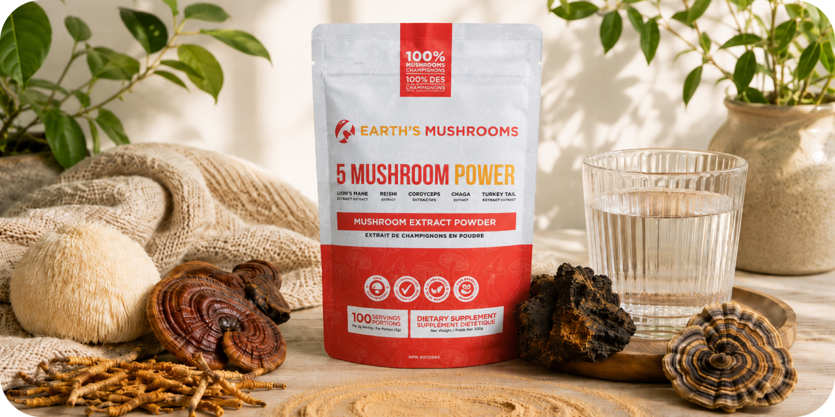 What Your Mushrooms Are Doing When You're Not Paying Attention