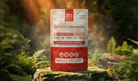 Morning Mushroom Rituals for Peak Productivity