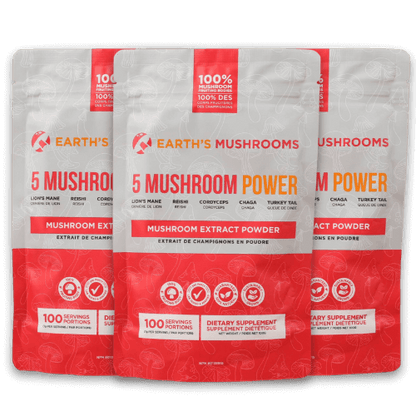 5 Mushroom POWER Extracts Blend