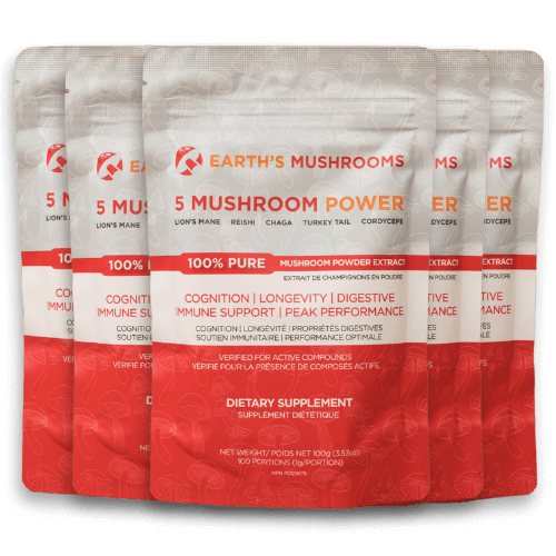 5 Mushroom POWER Extracts Blend