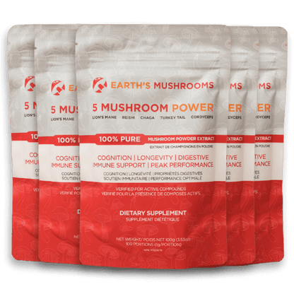 5 Mushroom POWER Extracts Blend