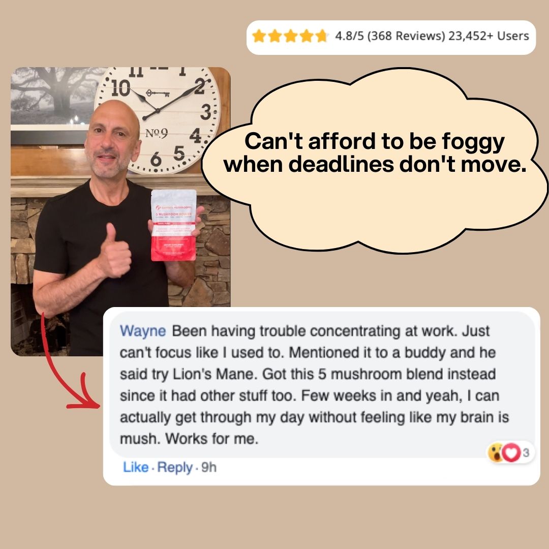 5 Mushroom POWER Extracts Blend